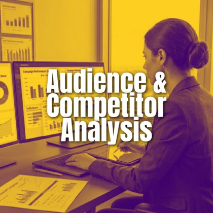 Audience & Competitor Analysis