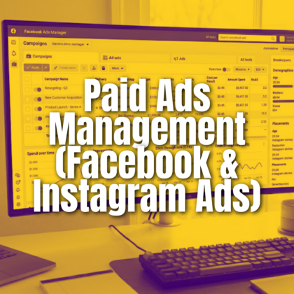 Paid Ads Management (Facebook & Instagram Ads)